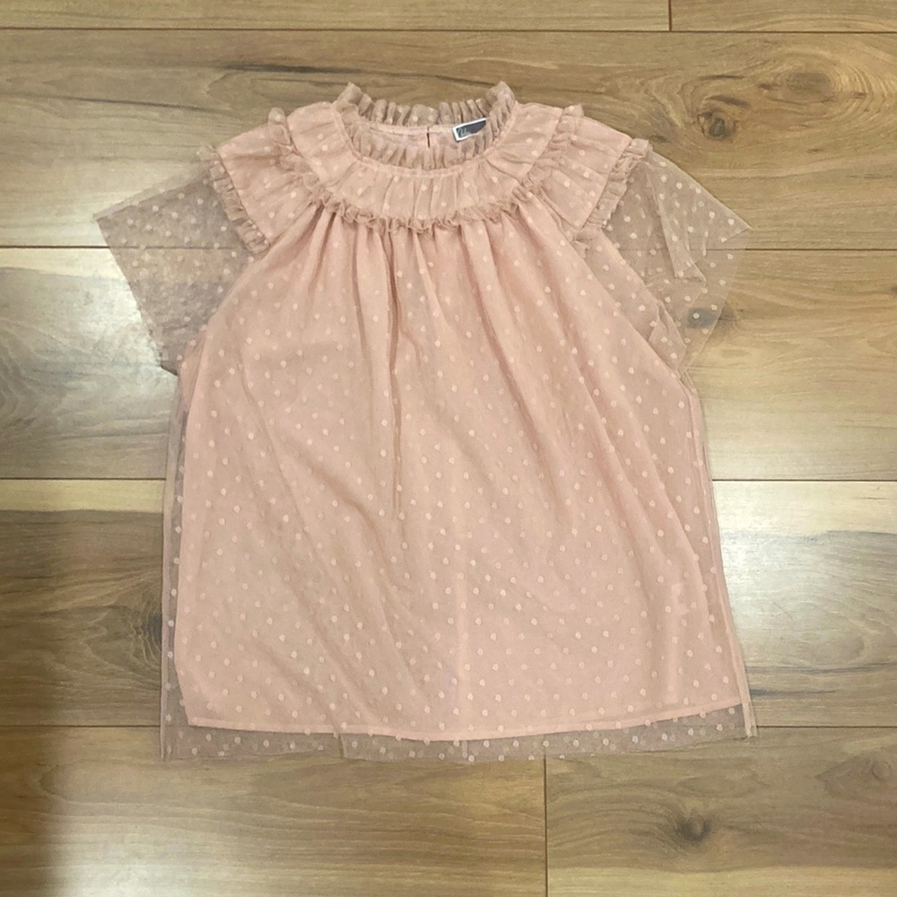 Mesh, semi-sheer polka dot blouse